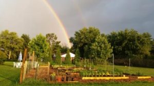 Garden with rainbow