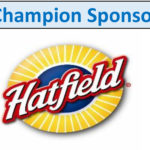 Website-sponsorship-Champion